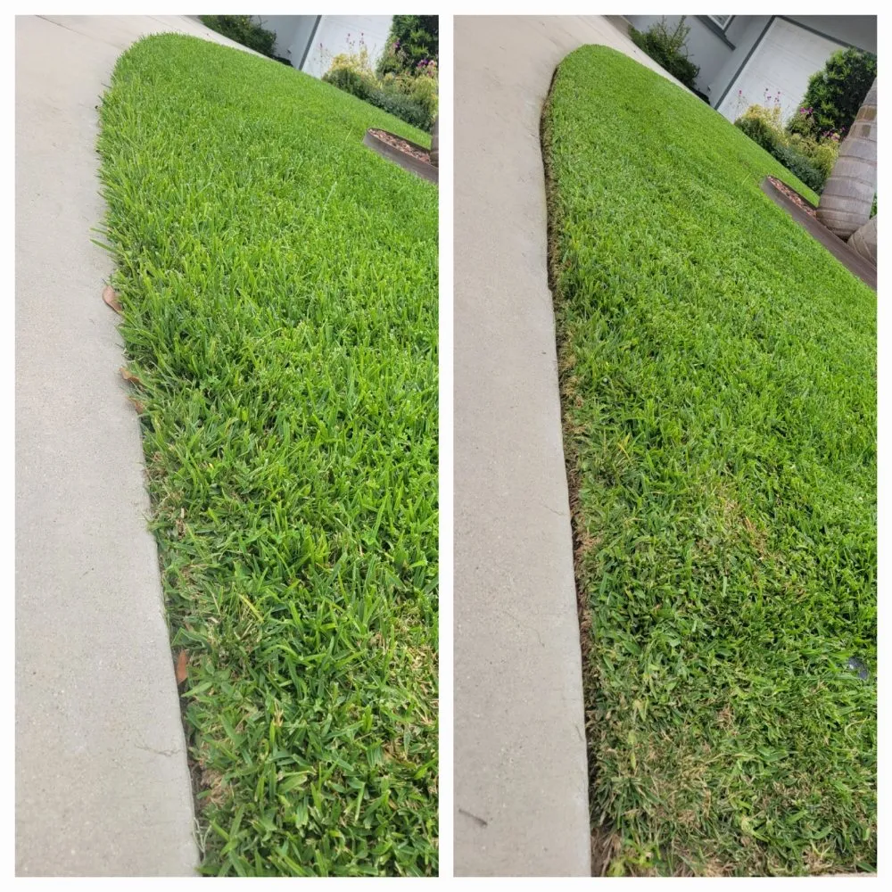 Reliable lawn mowing service near you in Pomona, CA by JC Lawn & Garden