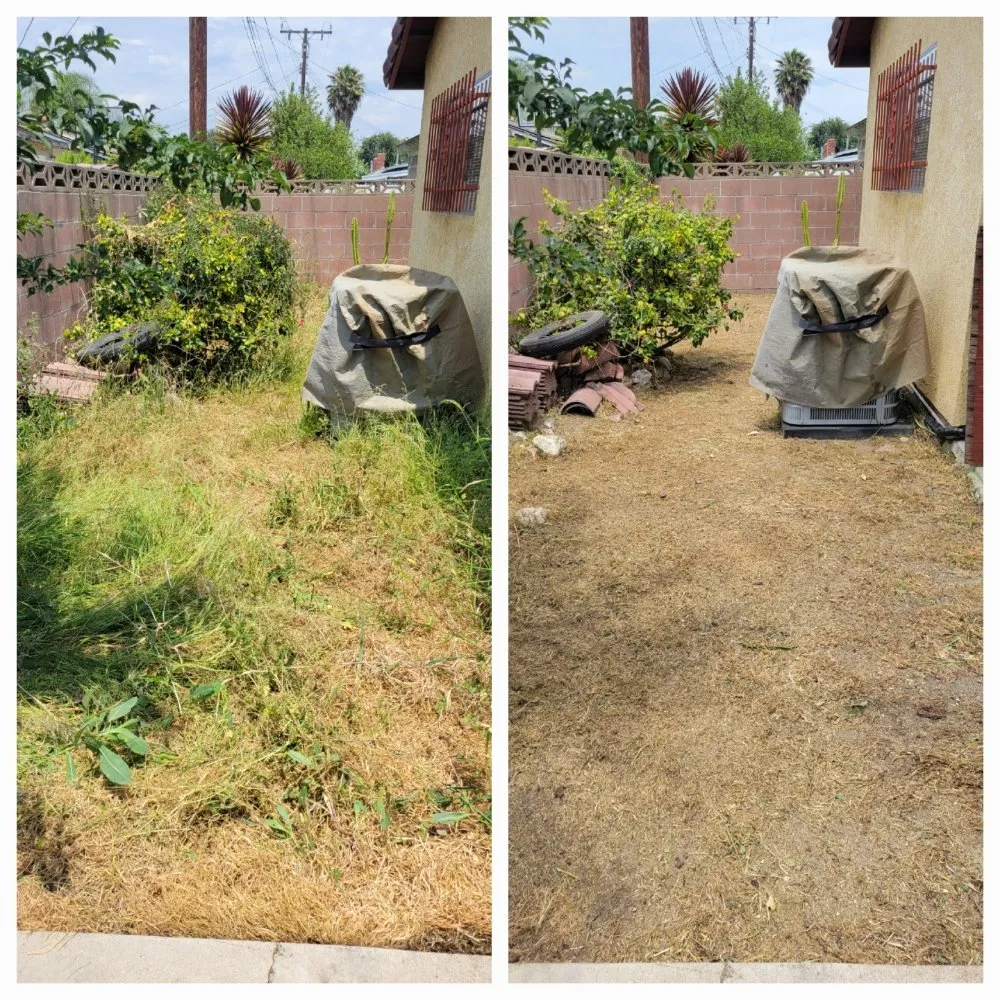 Professional lawn mowing service for beautiful yards in Pomona, CA by JC Lawn & Garden
