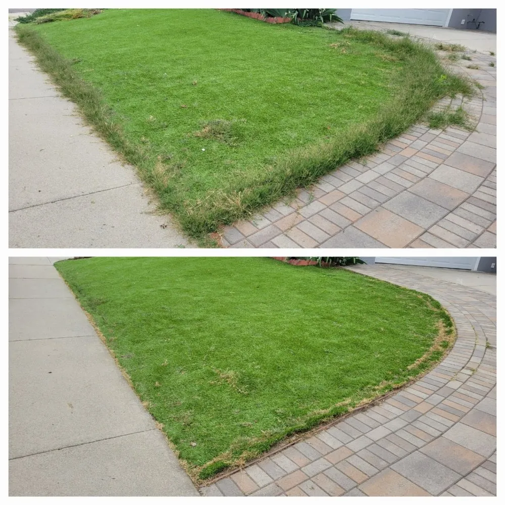 Top-rated landscape design with custom design across Pomona, CA - JC Lawn & Garden