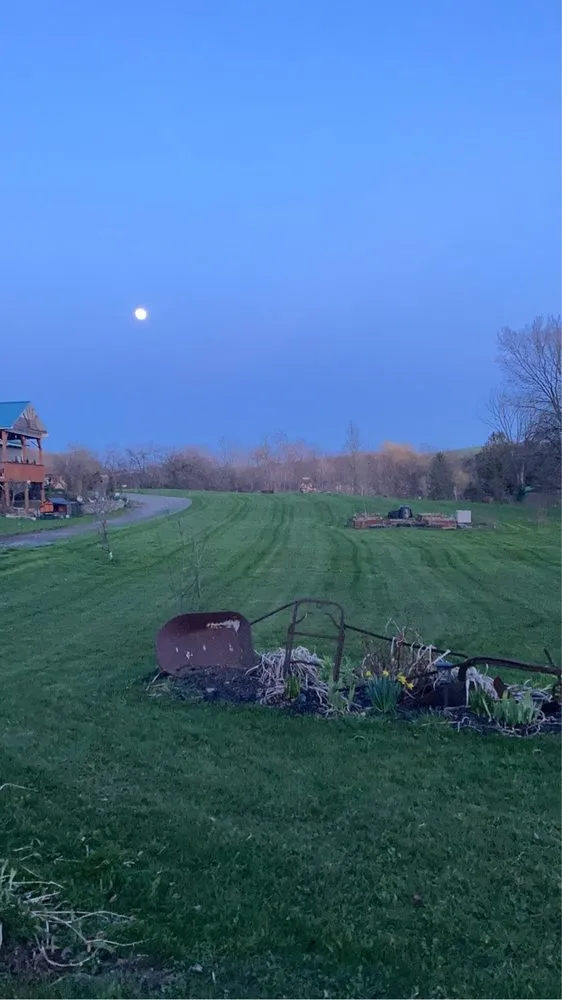 Local outdoor landscaping in Poland, NY by Jc Lawn and Home Care