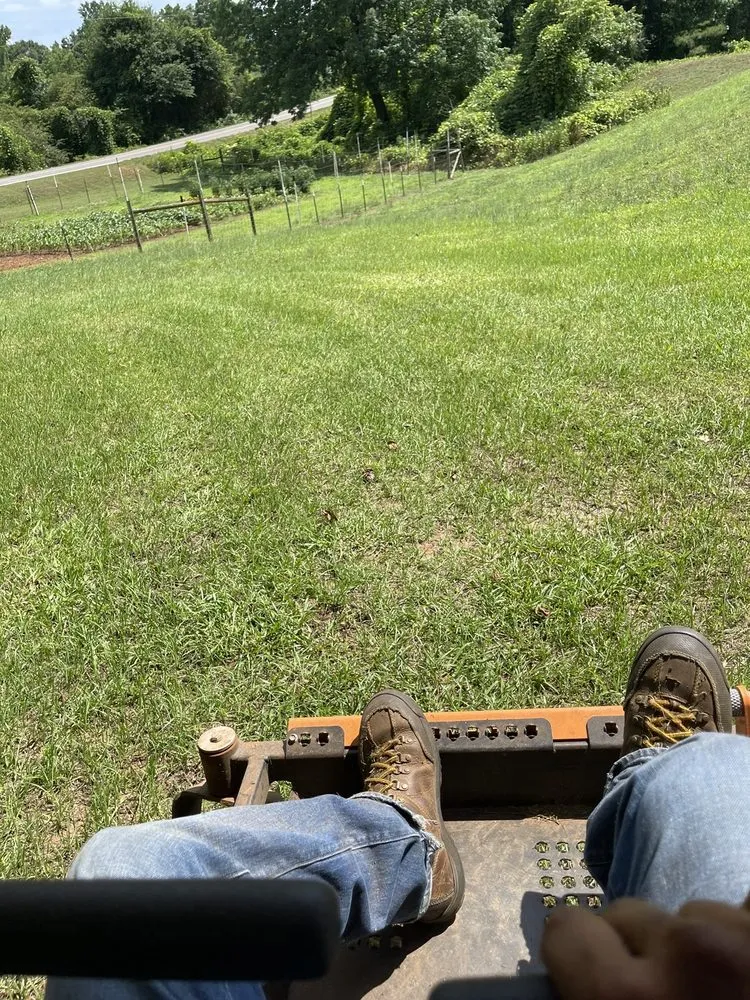 Local landscape installation in Athens, GA by Jc lawn care