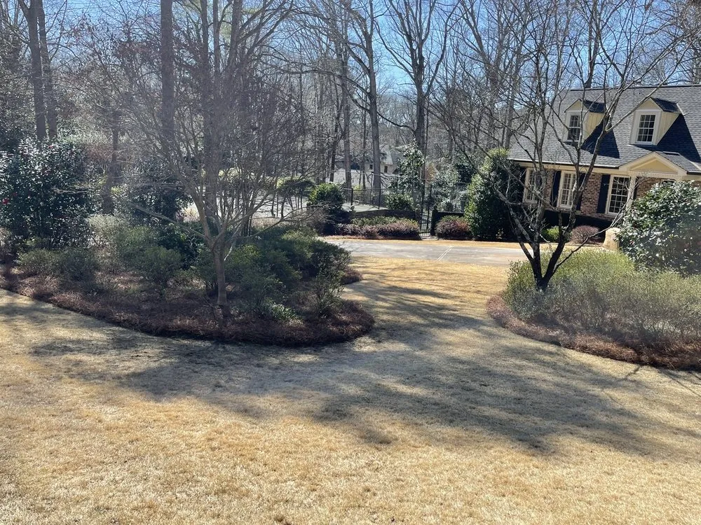 Top-rated outdoor landscaping in Athens, GA - Jc lawn care