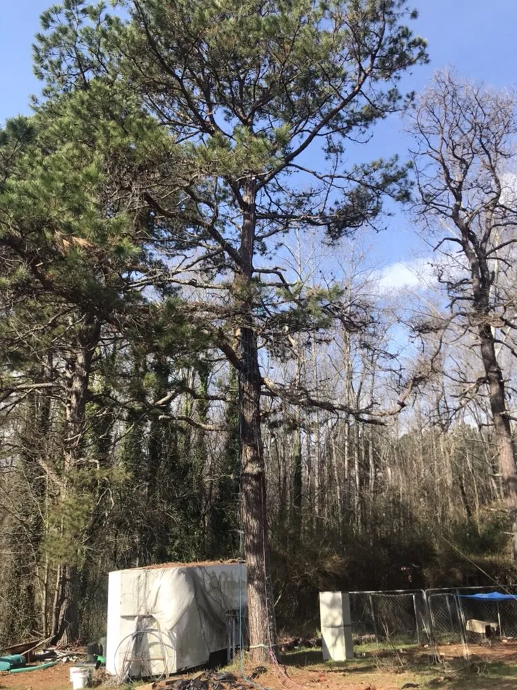 Affordable residential landscaping experts serving Central, SC - JC Lawn Care