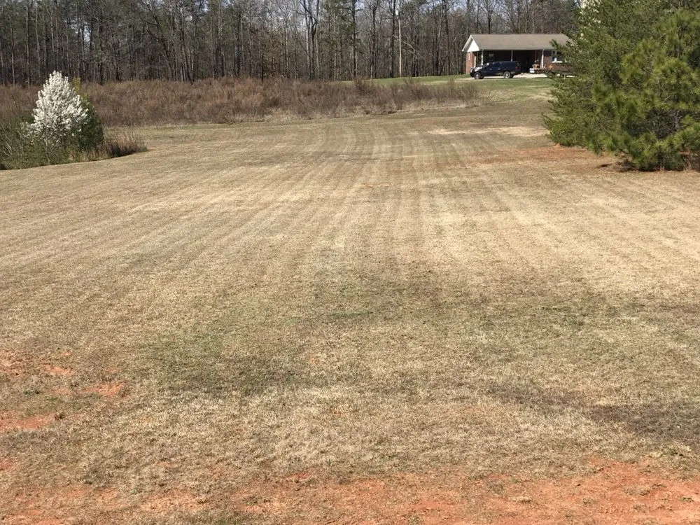 Custom landscape design in Central, SC by JC Lawn Care