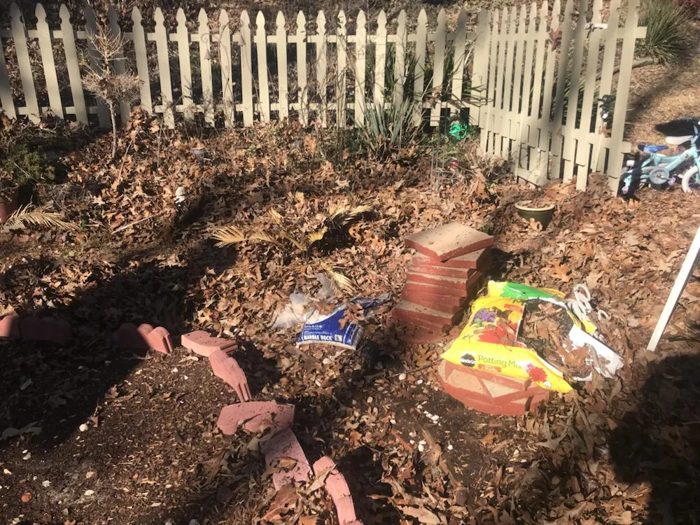 Expert yard cleanup service in Central, SC - JC Lawn Care