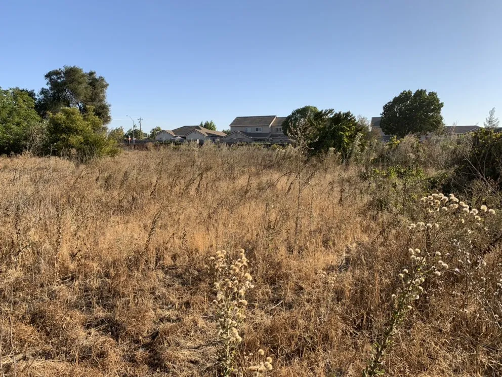 Professional garden landscaping for homes in Delhi, CA by JC Lawn Care