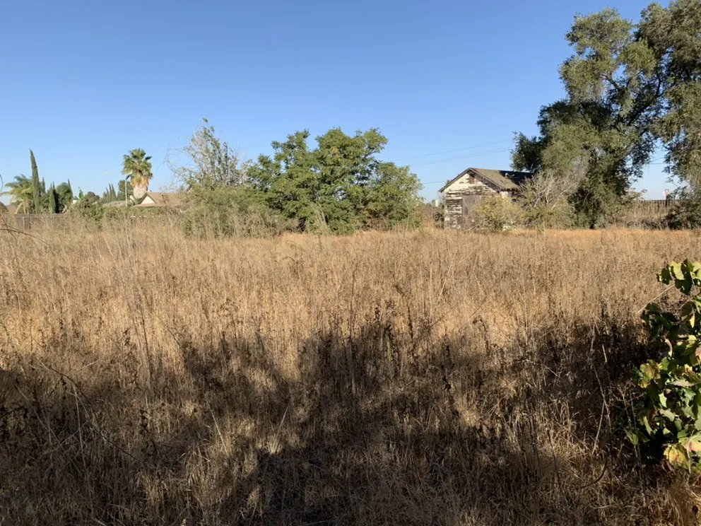 Trusted yard cleanup service in Delhi, CA - JC Lawn Care