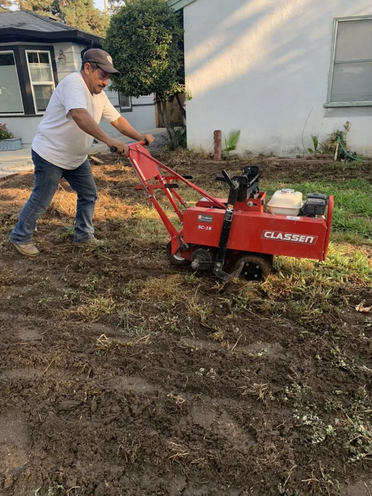 Reliable lawn care service near you across Delhi, CA - JC Lawn Care