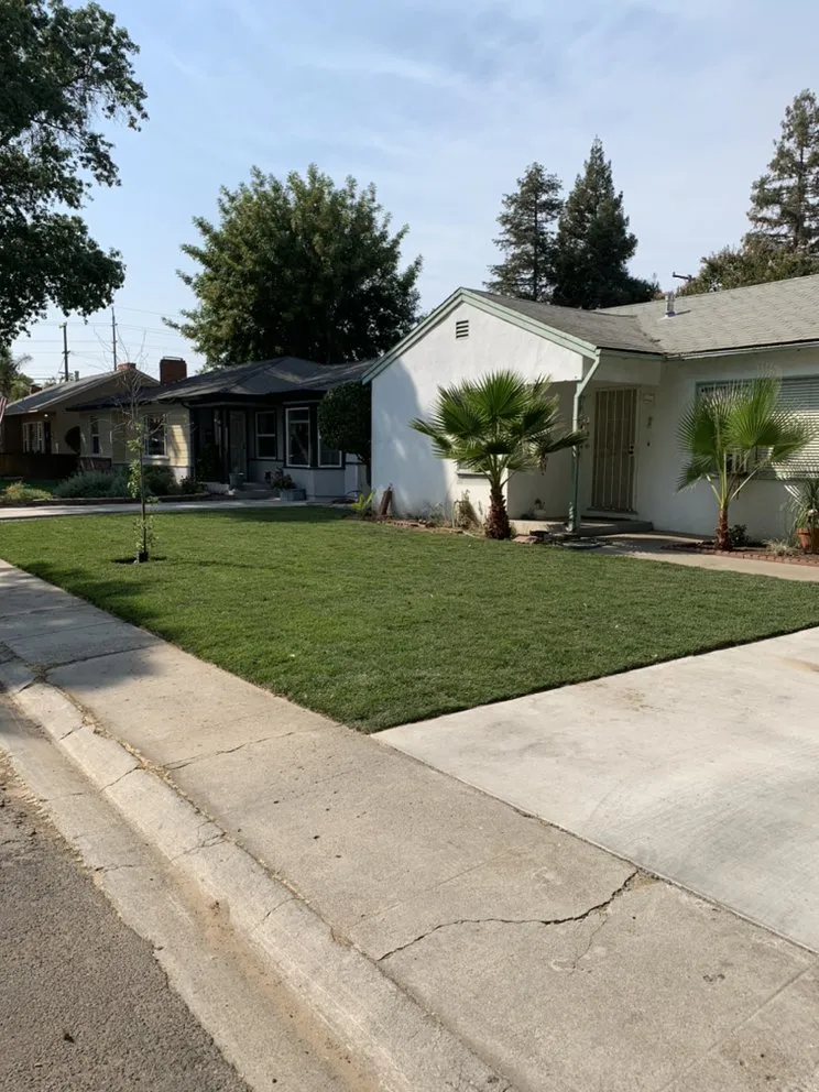 Local yard maintenance for year-round maintenance in Delhi, CA by JC Lawn Care