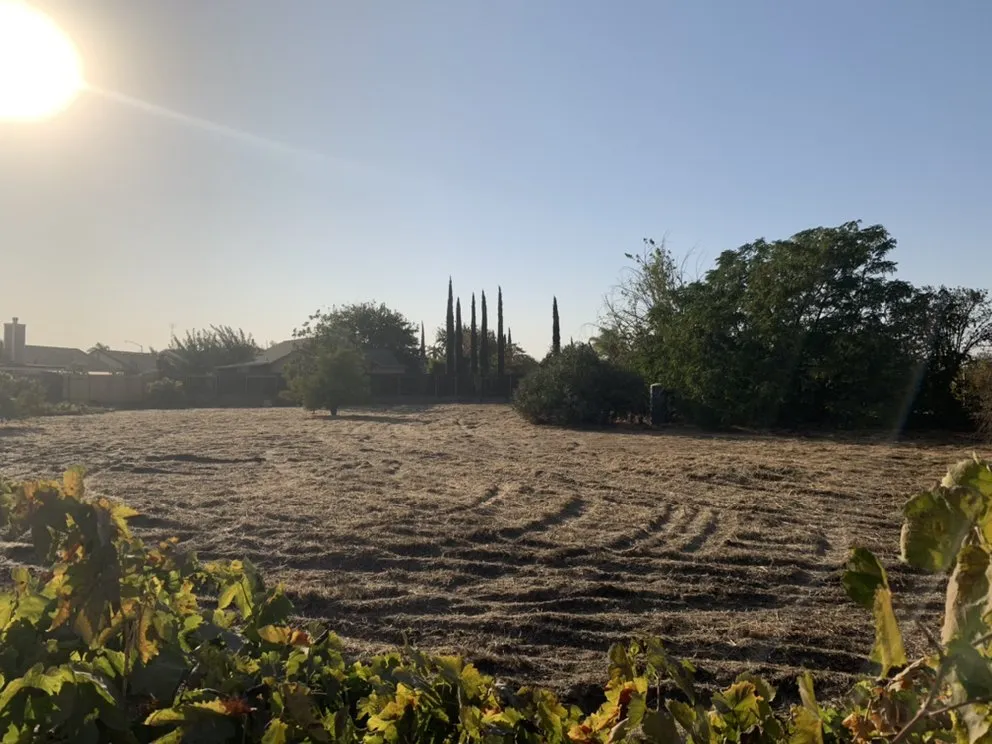 Top-rated lawn care service in Delhi, CA by JC Lawn Care