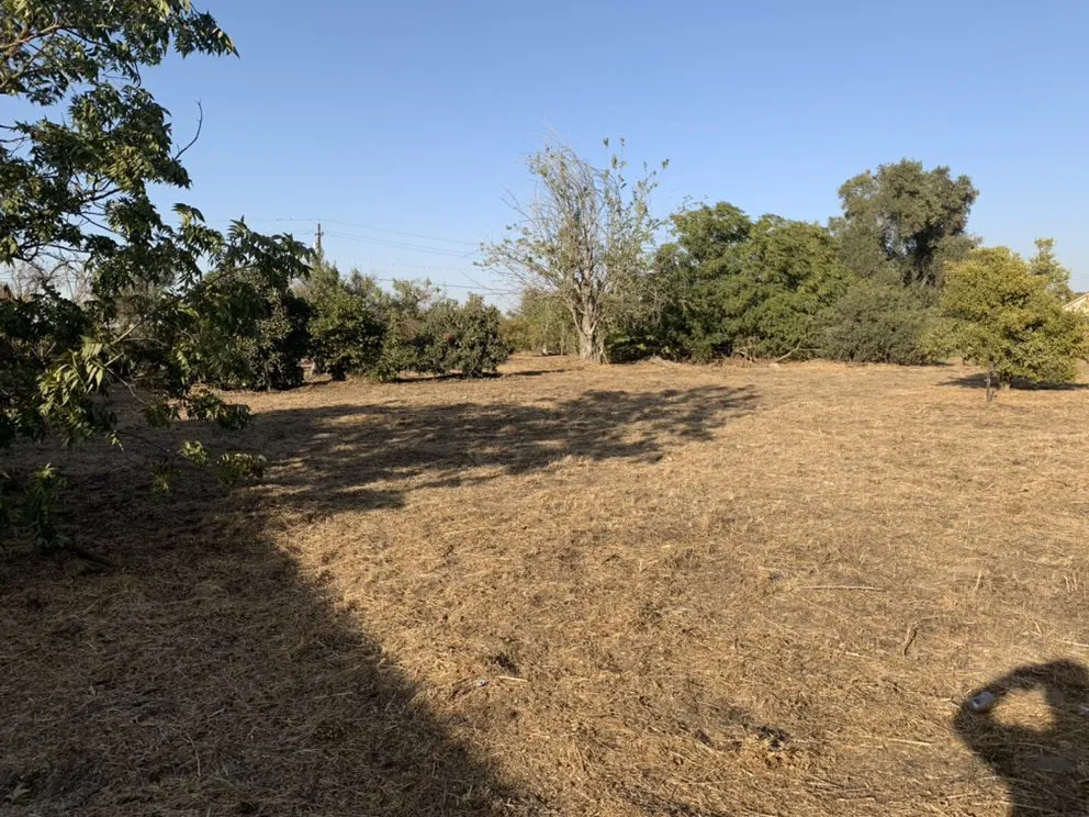 Trusted garden landscaping for homes across Delhi, CA - JC Lawn Care