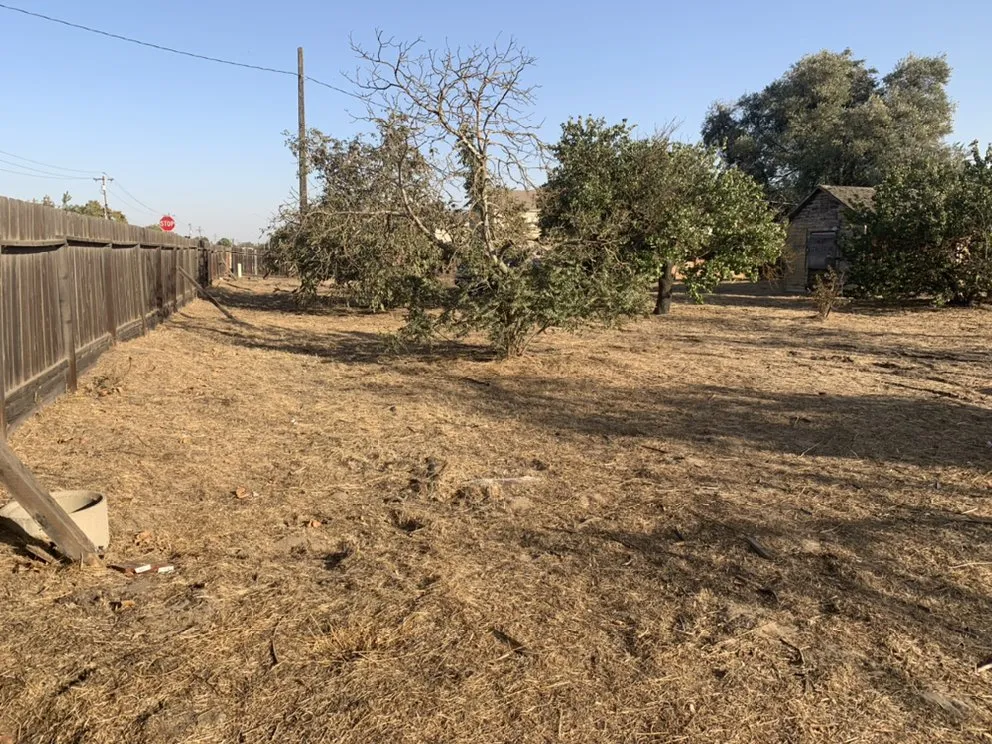 Affordable yard maintenance in Delhi, CA - JC Lawn Care