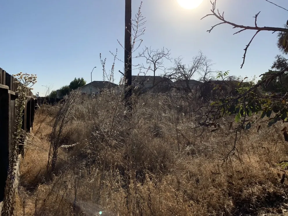 Custom residential landscaping experts serving Delhi, CA - JC Lawn Care