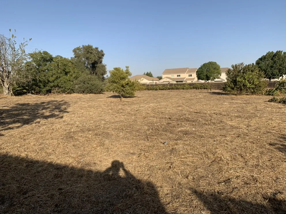 Expert landscape design for outdoor upgrades in Delhi, CA by JC Lawn Care