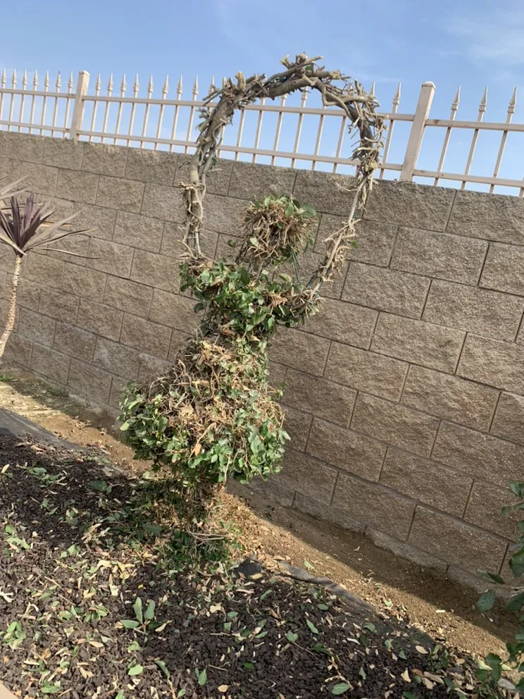 Expert residential landscaping experts serving Delhi, CA - JC Lawn Care