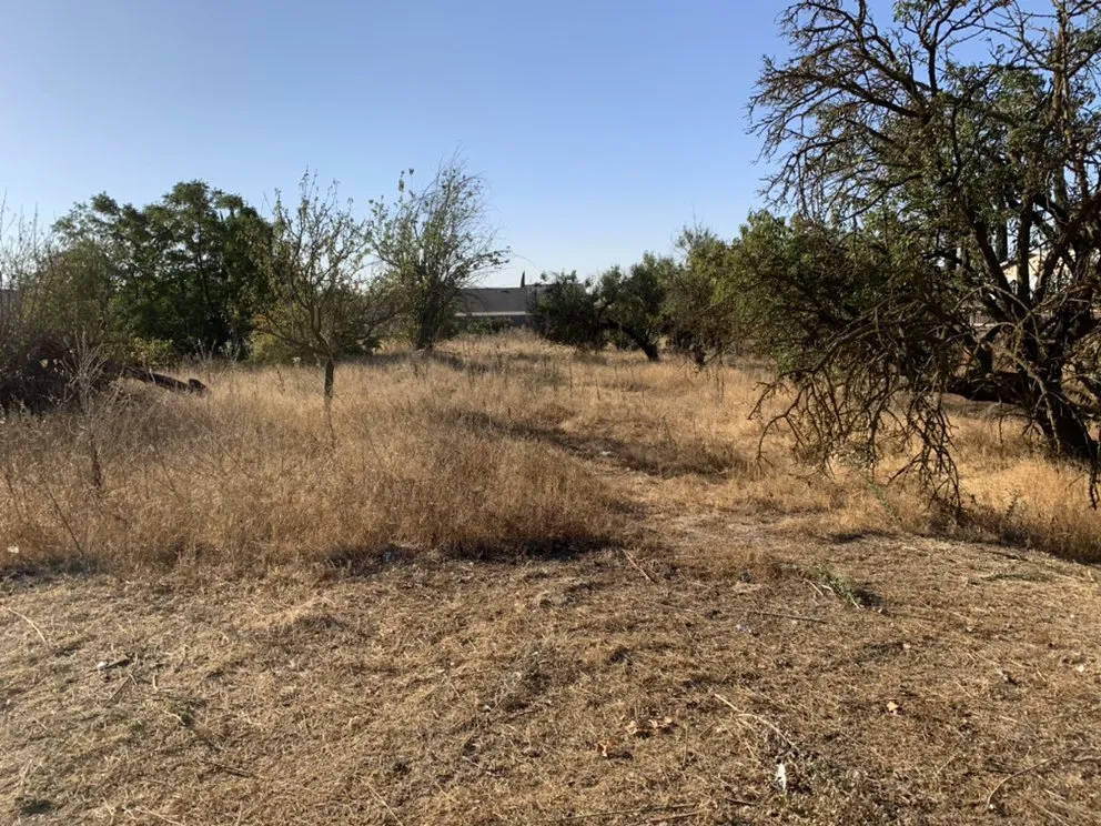 Affordable yard maintenance experts serving Delhi, CA - JC Lawn Care