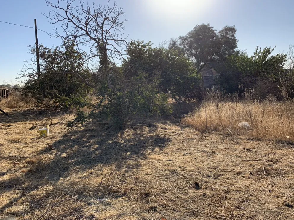 Top-rated landscaping services for residential properties in Delhi, CA by JC Lawn Care