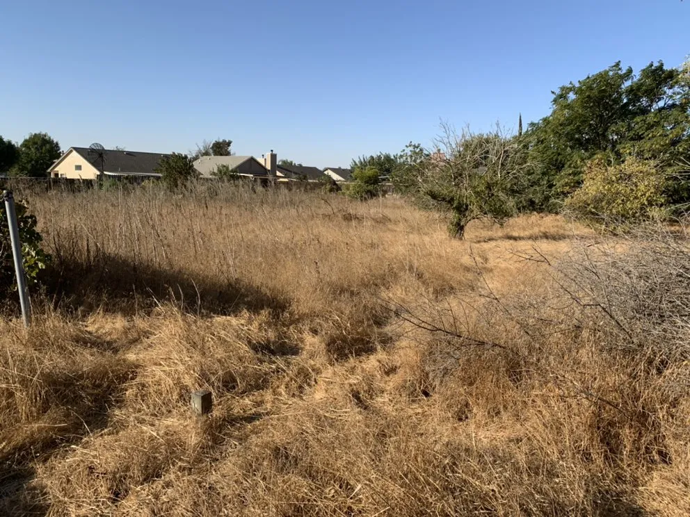 Affordable residential landscaping experts serving Delhi, CA - JC Lawn Care