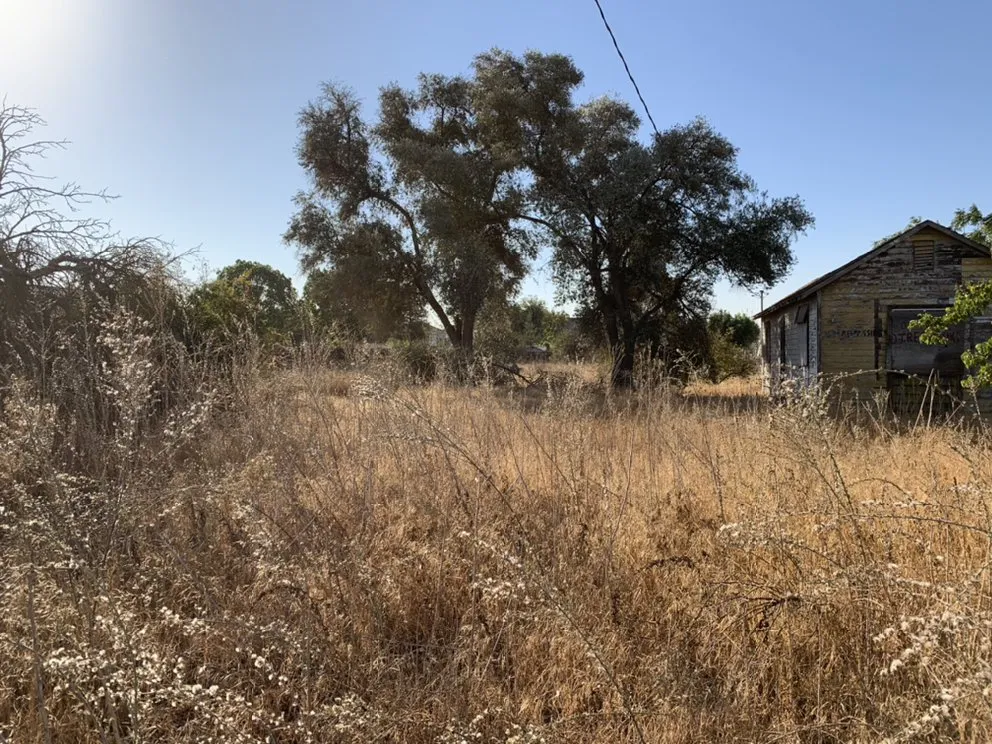 Reliable yard maintenance in Delhi, CA by JC Lawn Care