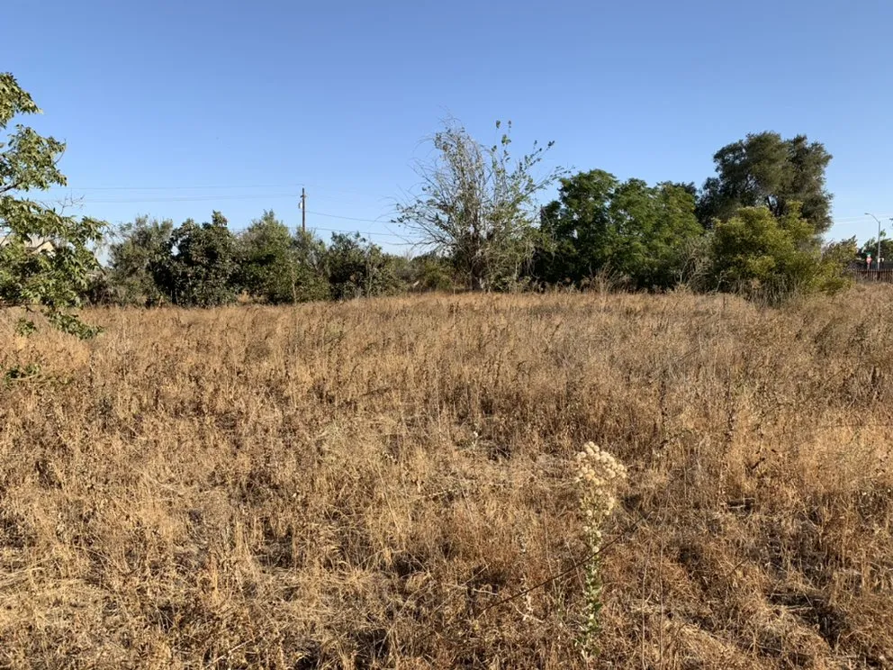 Affordable lawn mowing service for year-round maintenance across Delhi, CA - JC Lawn Care