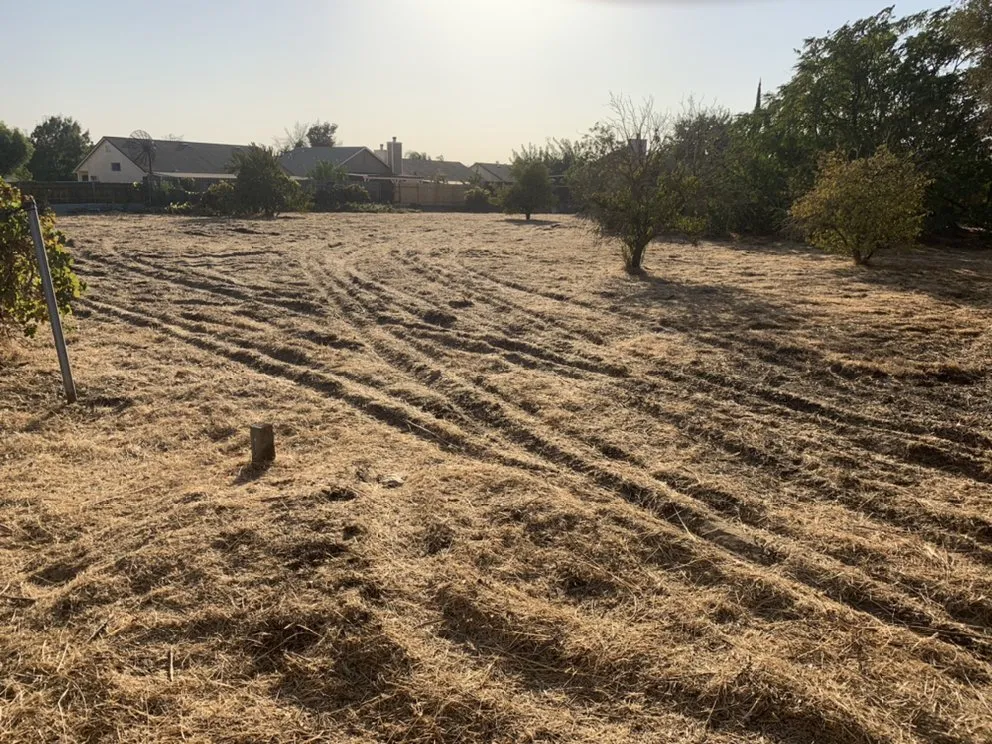 Affordable residential landscaping for year-round maintenance across Delhi, CA - JC Lawn Care