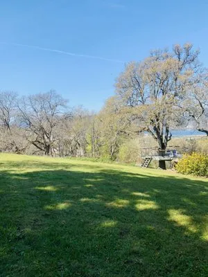 JC Lawn Care Maintenance Logo