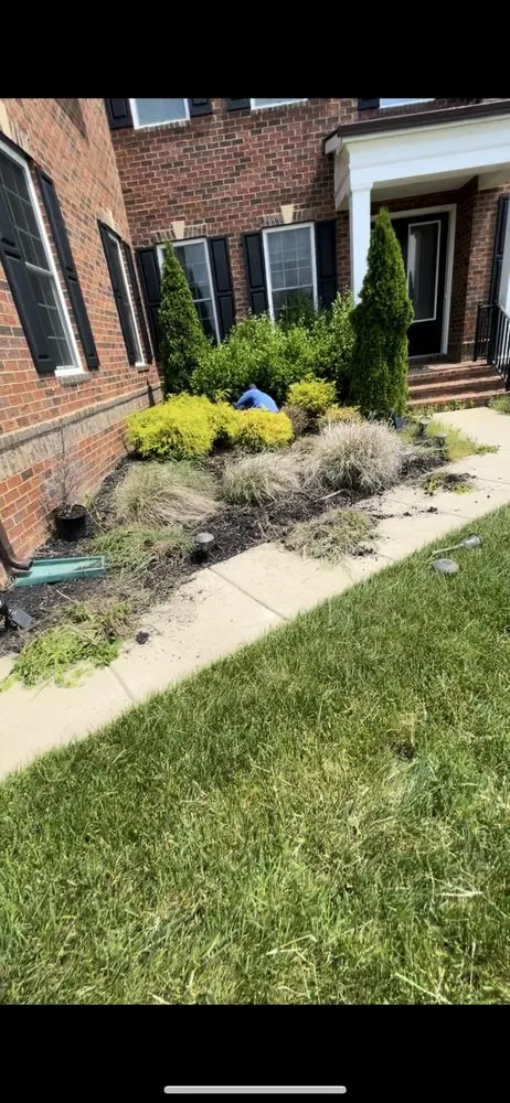 Professional yard cleanup service in Odenton, MD by Jc Lawn Care