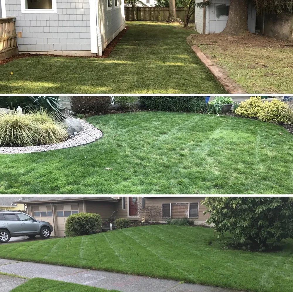 Affordable yard cleanup service near you across Portland, OR - J&C Lawn Care