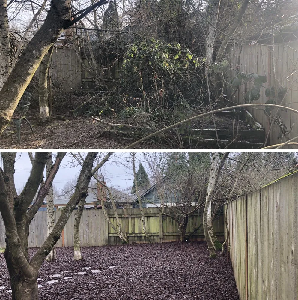 Professional yard maintenance for outdoor upgrades in Portland, OR by J&C Lawn Care