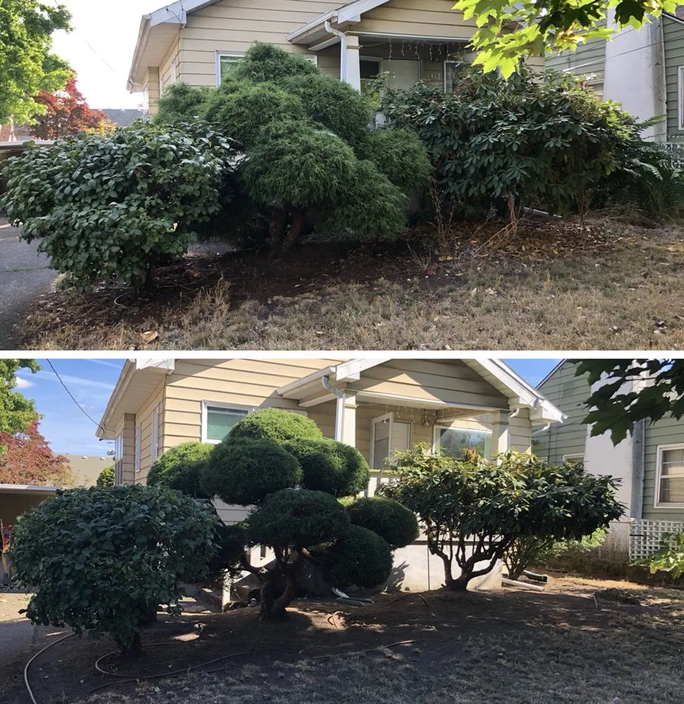Reliable landscaping services for outdoor upgrades across Portland, OR - J&C Lawn Care
