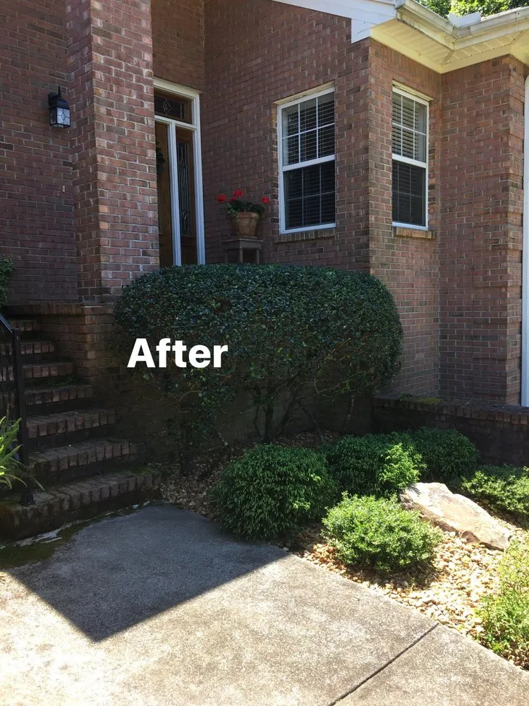 Professional landscape design in Russellville, AL by JC Lawn Care