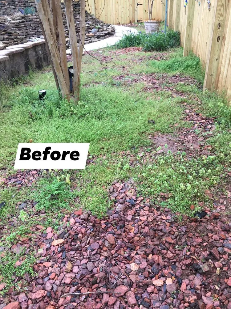 Top-rated yard maintenance in Russellville, AL by JC Lawn Care