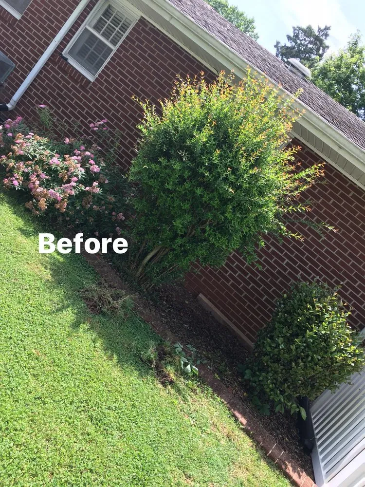 Professional lawn mowing service experts serving Russellville, AL - JC Lawn Care