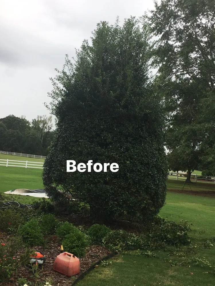 Professional yard cleanup service in Russellville, AL by JC Lawn Care