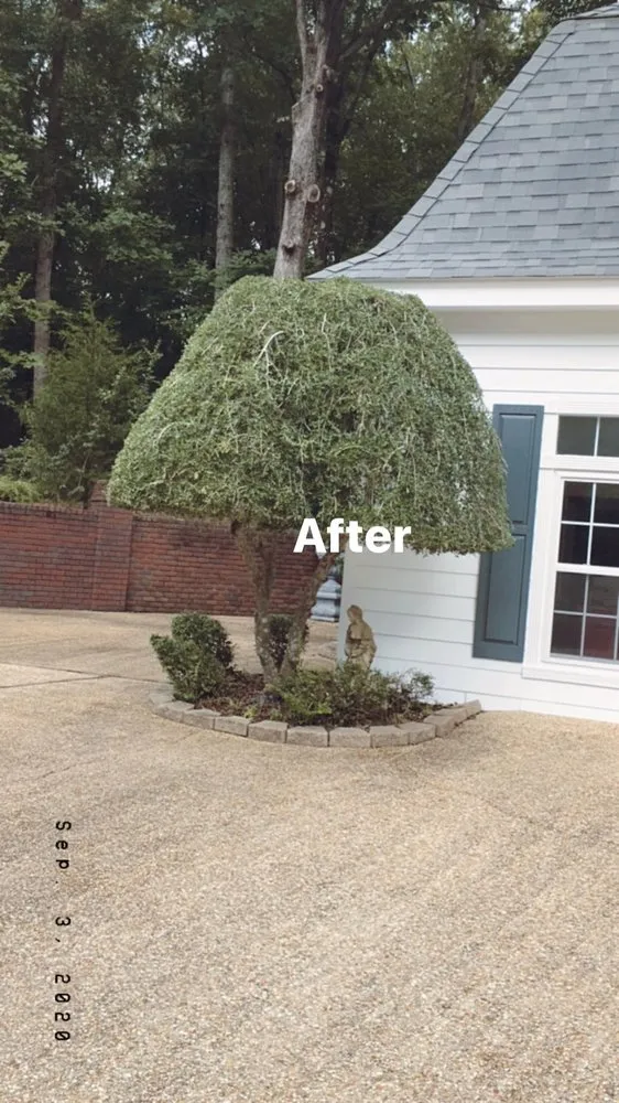 Reliable landscape installation in Russellville, AL - JC Lawn Care