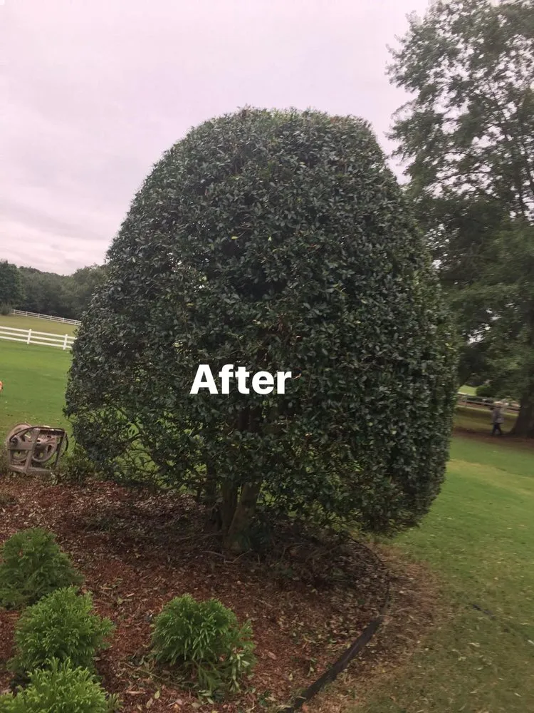 Local lawn care service in Russellville, AL - JC Lawn Care