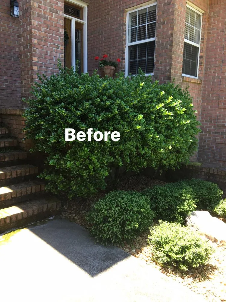 Custom residential landscaping for year-round maintenance in Russellville, AL by JC Lawn Care