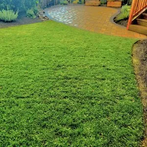 Top-rated residential landscaping in Salem, OR by JC Lawn Care