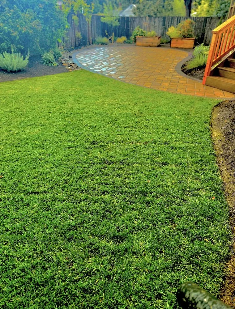 Reliable yard cleanup service near you in Salem, OR by JC Lawn Care