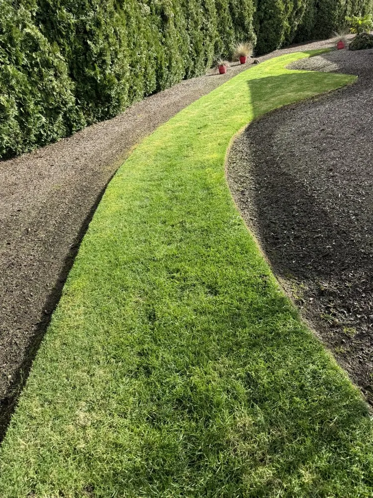 Trusted landscape installation experts serving Salem, OR - JC Lawn Care