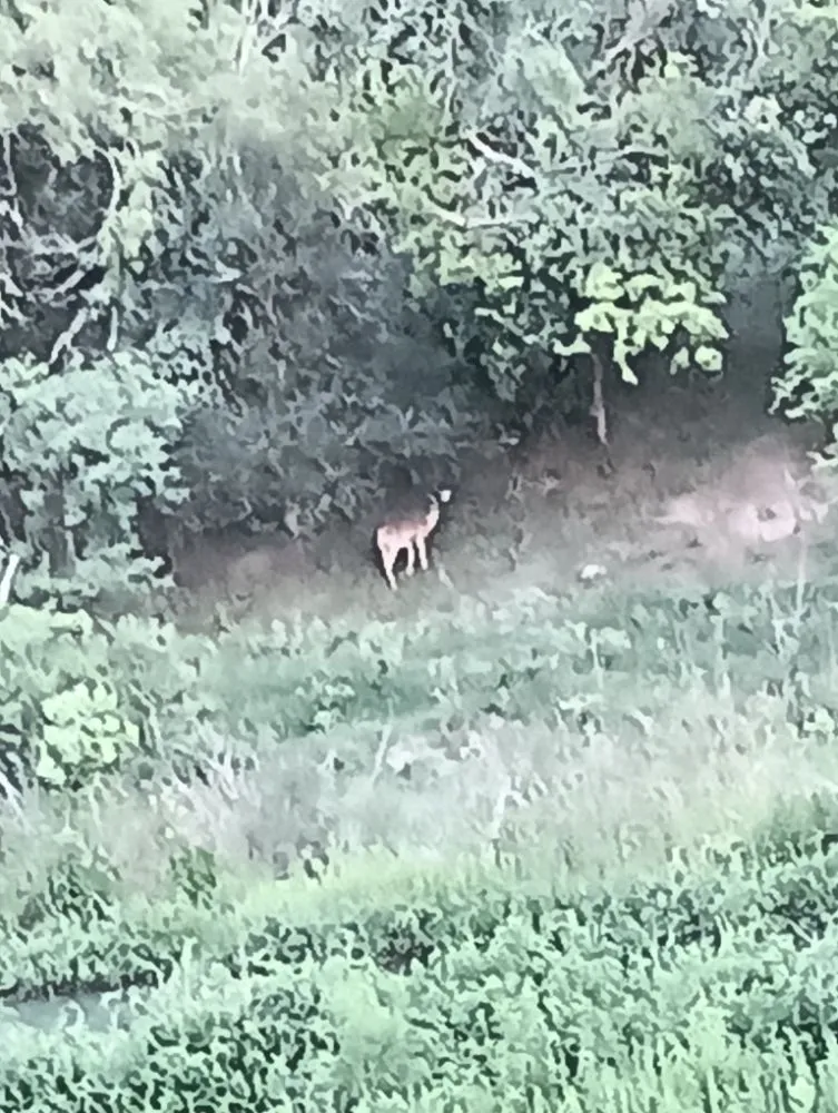 Reliable lawn care service experts serving Seguin, TX - Jc Lawn Care