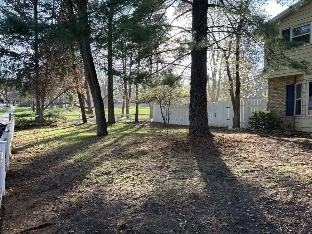 Affordable landscaping services for outdoor upgrades across Madison, WI - J&C Lawn Care Service