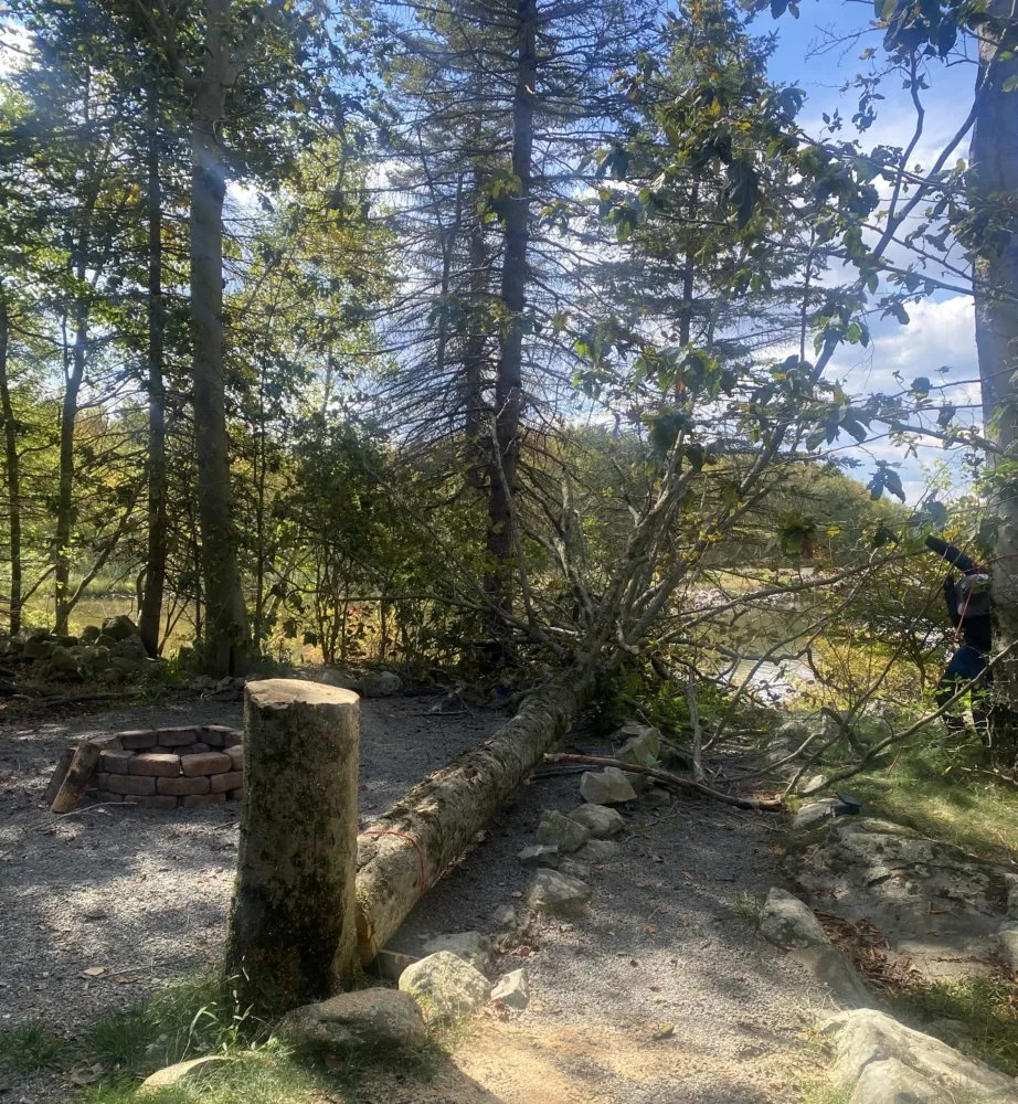 Affordable yard maintenance for outdoor upgrades in Tobyhanna, PA by JC Lawn Care Service