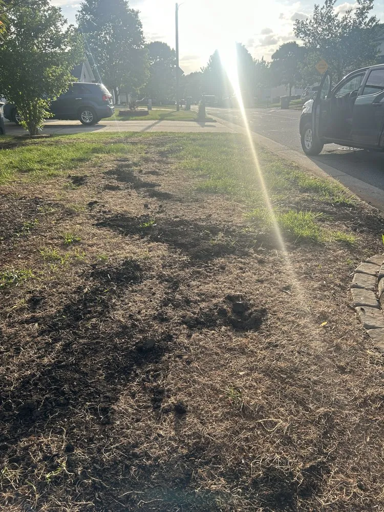 Affordable yard cleanup service experts serving Winston-Salem, NC - j&c lawn care