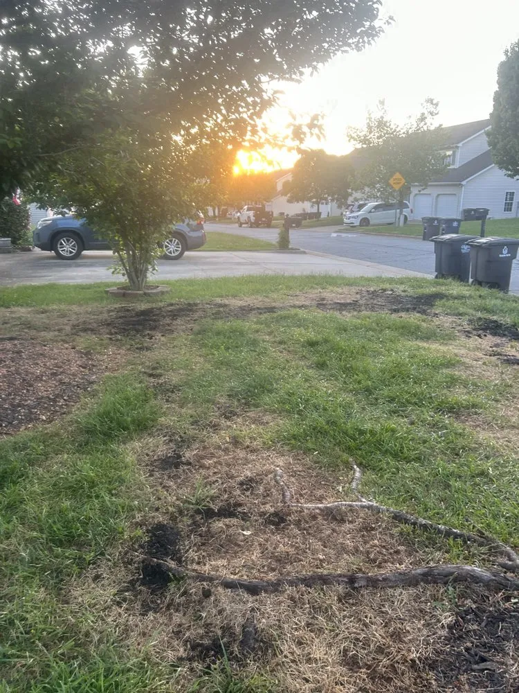 Reliable lawn care service near you across Winston-Salem, NC - j&c lawn care