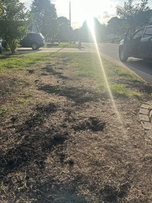 j&c lawn care Logo