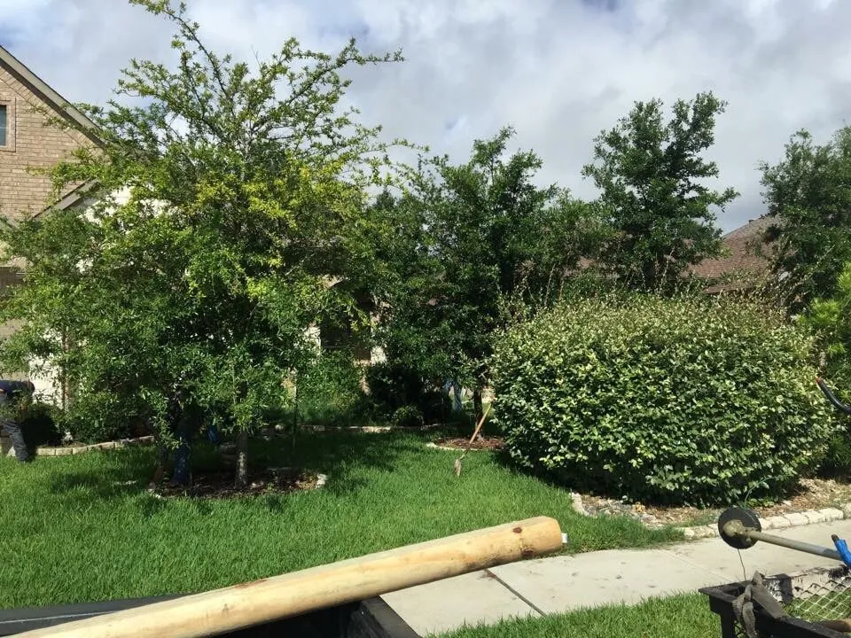 Custom yard cleanup service experts serving Cedar Park, TX - JC Lawn Service