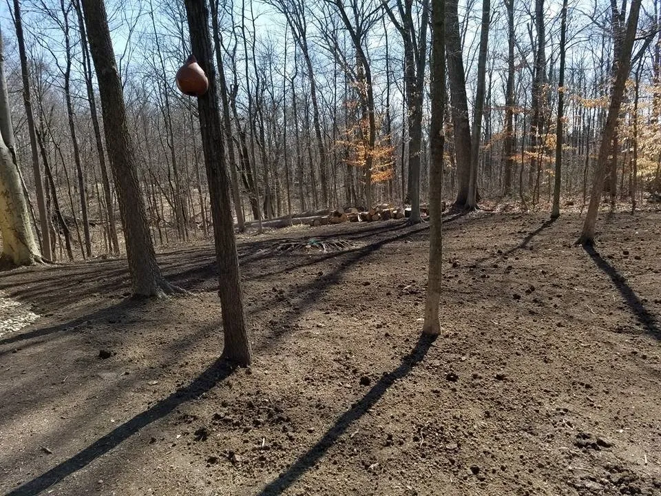 Trusted yard maintenance in Columbus, OH by JC Lawn service