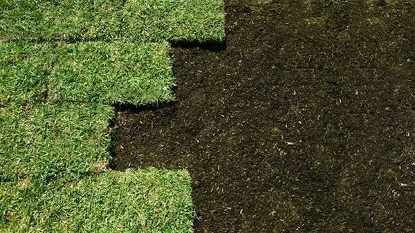 jC Lawn Service Logo