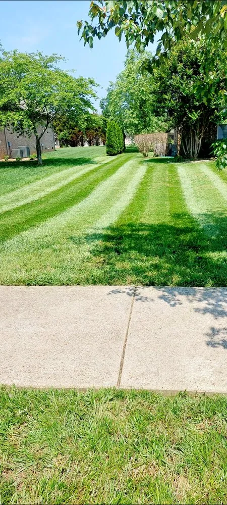 Reliable lawn care service for homes in Lebanon, TN by J&C lawncare,trimming services